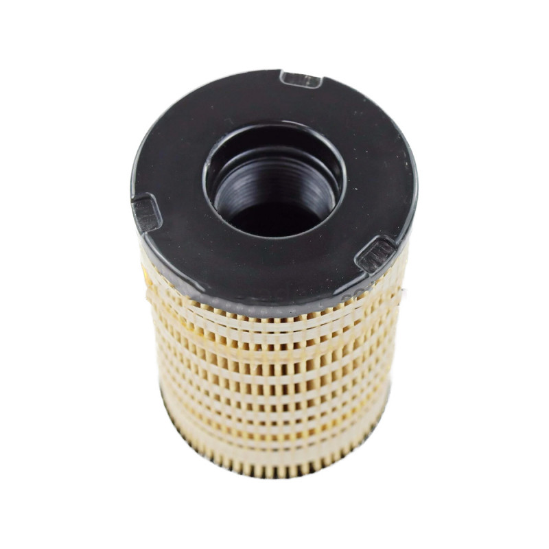 Топливный фильтр 10000-59650