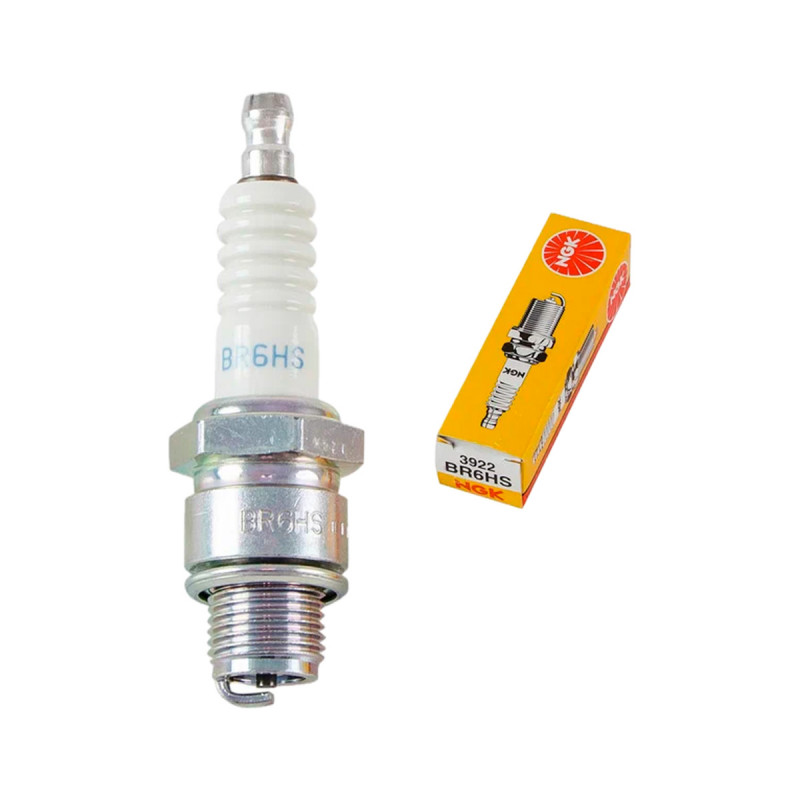 Свеча зажигания NGK BR6